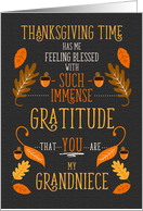 for Grandniece Thanksgiving Immense Gratitude for You card