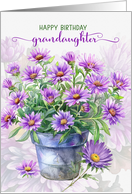 for Granddaughter Birthday Purple Asters in a Flower Pot card