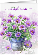 Italian Birthday Buon Compleanno Purple Asters in a Flower Pot card