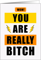 Wow You are Really Bitchin’ Humorous Typography card