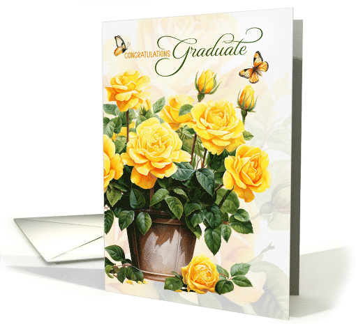 Graduation Congratulations Pot of Yellow Roses and Butterflies card