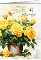 12 Step Recovery Encouragement Pot of Yellow Roses card