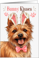 Easter Bunny Kisses Australian Terrier Dog in Bunny Ears card