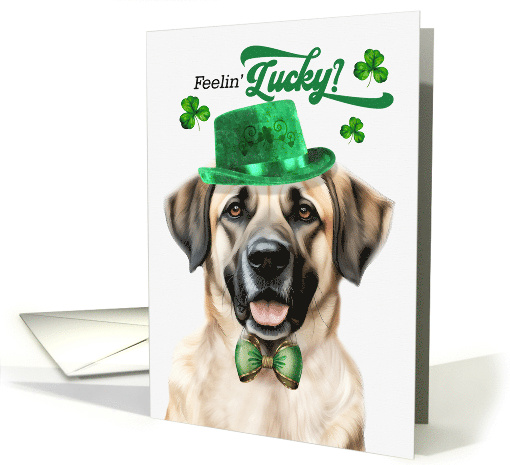 St Patrick's Day Anatolian Shepherd Dog Feelin' Lucky Clovers card