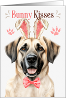 Easter Bunny Kisses Anatolian Shepherd Dog in Bunny Ears card