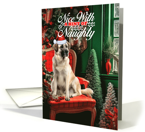 Anatolian Shepherd Christmas Dog Nice with a Hint of Naughty card