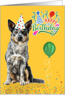 From the Pet Birthday Cattle Dog in a Party Hat on Yellow card