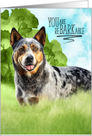 Congratulations reBARKable Cattle Dog in the Country card