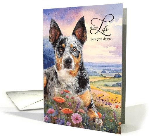 Encouragement Australian Cattle Dog in a Mountain Field... (1918698)