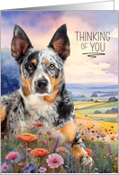 Thinking of You Australian Cattle Dog in a Field of Wildflowers card
