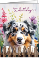 Birthday Australian Shepherd Dog Garden Fence with Gladiolus card