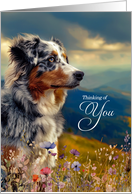 Thinking of You Australian Shepherd Dog Mountains and Wildflowers card