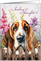 Get Well Basset Hound Dog Garden Fence with Gladiolus card