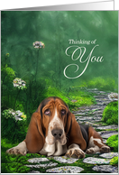 Thinking of You Basset Hound Dog Green Garden Path card