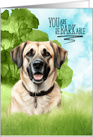 Congratulations reBARKable Anatolian Shepherd Dog in the Country card