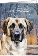 Merry Christmas Anatolian Shepherd Dog Snowy Woodland Forest card