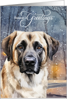 Season’s Greetings Anatolian Shepherd Dog Snowy Woodland Forest card