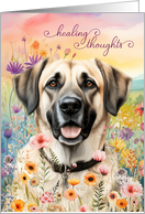 Get Well Anatolian Shepherd Dog in a Field of Wildflowers card