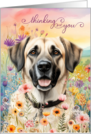 Thinking of You Anatolian Shepherd Dog in a Field of Wildflowers card