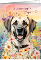Missing You Anatolian Shepherd Dog in a Field of Wildflowers card