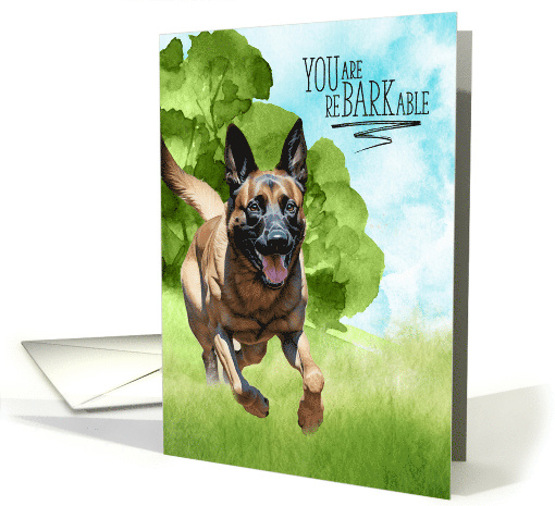 Congratulations reBARKable Belgian Malinois Dog in the Country card