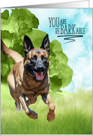 Congratulations reBARKable Belgian Malinois Dog in the Country card
