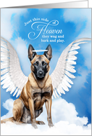 Pet Sympathy Loss of a Dog Belgian Malinois Shepherd Angel card