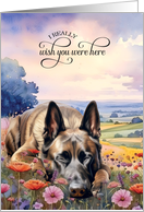 Missing You Belgian Malinois Shepherd Dog in a Field of Wildflowers card