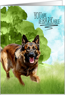 Congratulations reBARKable Belgian Tervuren Dog in the Country card