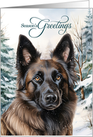 Belgian Tervuren Shepherd Dog Season’s Greetings Woodland Forest card