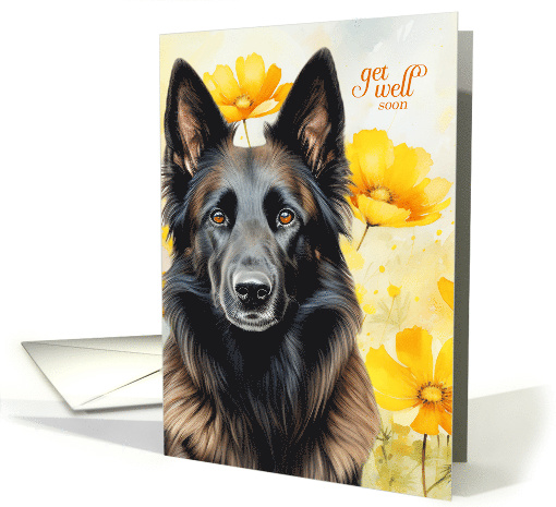 Get Well Belgian Tervuren Shepherd Dog and Golden Poppies card