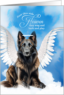 Pet Sympathy Loss of a Dog Belgian Tervuren Shepherd Angel card