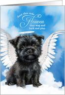 Pet Sympathy Loss of a Dog Affenpinscher Angel card