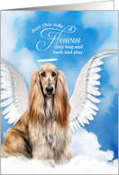 Pet Sympathy Loss of a Dog Afghan Hound Angel card