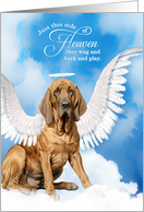 Pet Sympathy Loss of a Dog Bloodhound Angel card