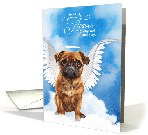 Pet Sympathy Loss of a Dog Brussels Griffon Angel card (1922498)