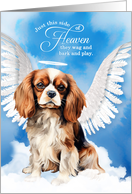 Pet Sympathy Loss of a Dog Cavalier King Charles Spaniel Angel card