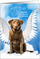 Pet Sympathy Loss of a Dog Chesapeake Bay Retriever Angel card