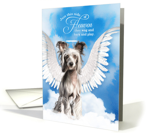 Pet Sympathy Loss of a Dog Chinese Crested Angel card (1923390)