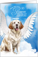 Pet Sympathy Loss of a Dog Clumber Spaniel Angel card
