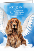 Pet Sympathy Loss of a Dog Cocker Spaniel Angel card