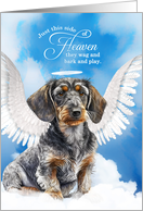 Pet Sympathy Loss of a Dog Wirehaired Dachshund Angel card