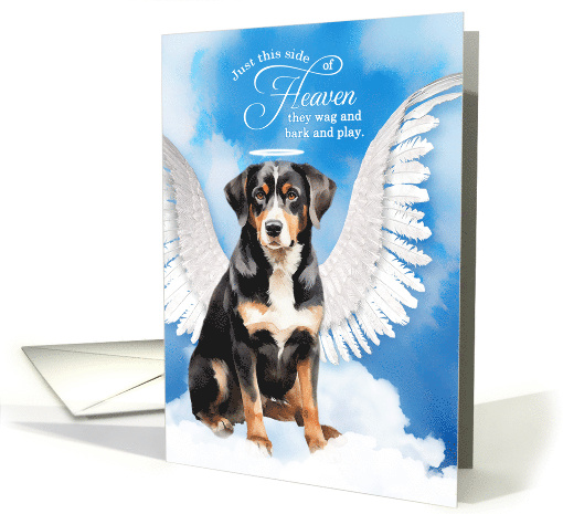 Pet Sympathy Loss of a Pet Entlebucher Mountain Dog Angel card
