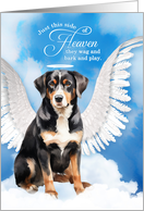 Pet Sympathy Loss of a Pet Entlebucher Mountain Dog Angel card