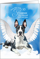 Pet Sympathy Loss of a Dog Mantle Great Dane Angel card