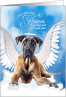 Pet Sympathy Loss of a Dog Fawn Great Dane Angel card
