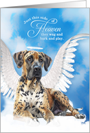 Pet Sympathy Loss of a Dog Harlequin Great Dane Angel card