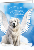 Pet Sympathy Loss of a Dog Great Pyrenees Angel card