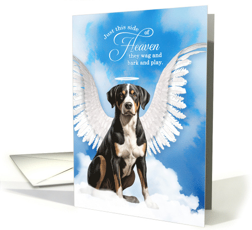 Pet Sympathy Loss of a Dog Great Swiss Mountain Dog Angel card