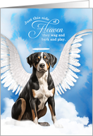 Pet Sympathy Loss of a Dog Great Swiss Mountain Dog Angel card